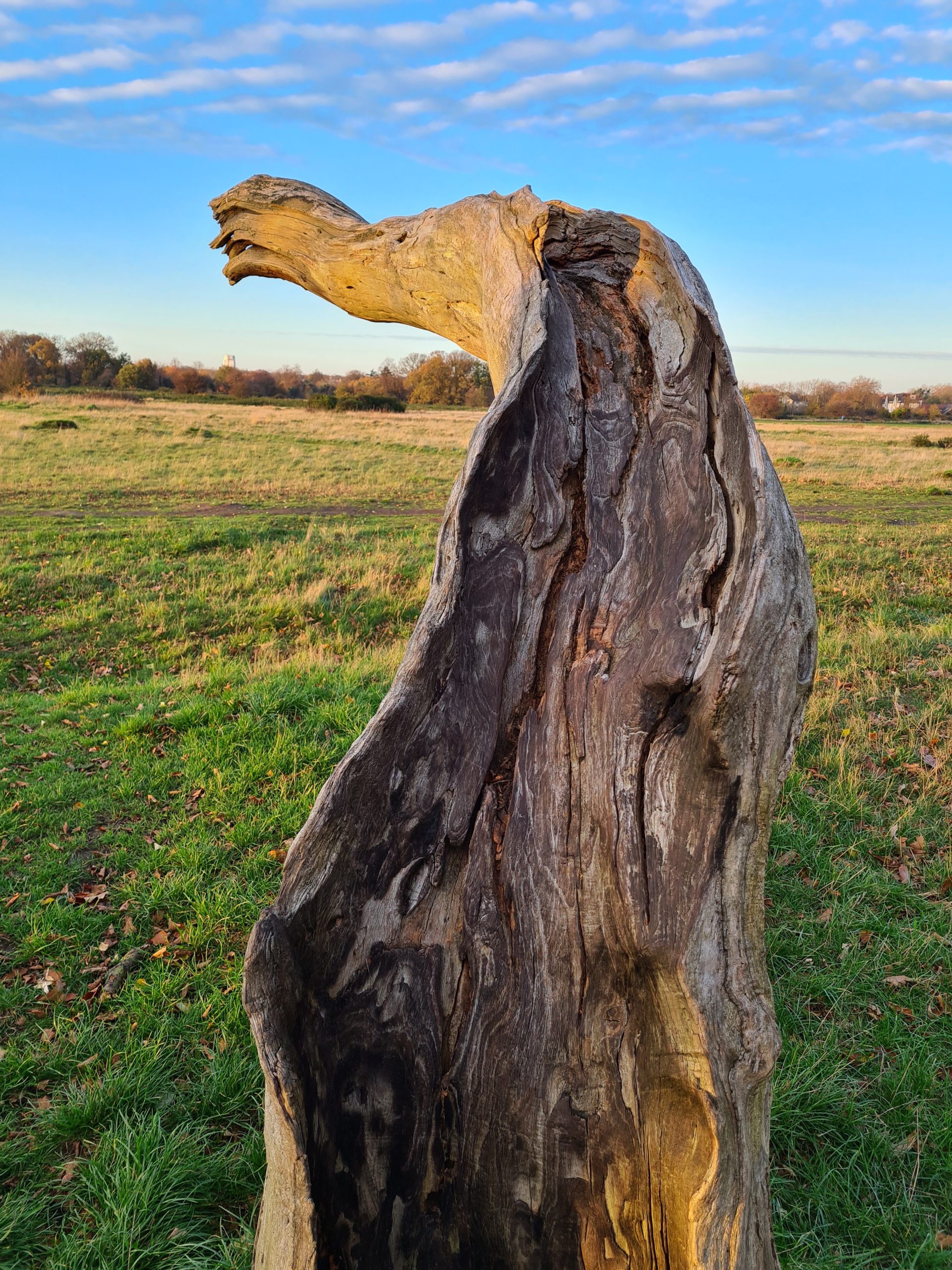 Photo for Stump #182 and #183 (ghost)