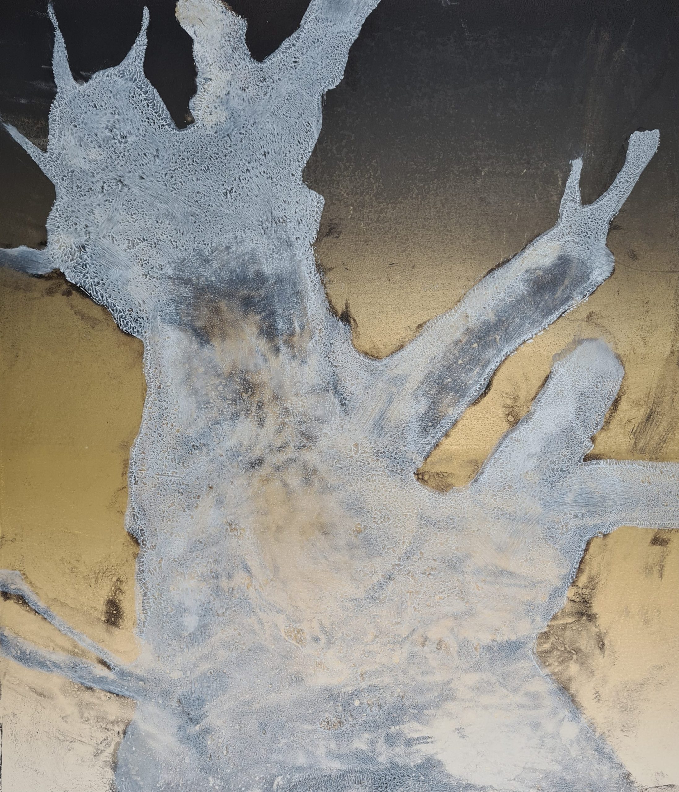 Stump #195 [ghost], Monoprint, 36cm x 30cm, £130. the final, 'ghost' print here is enhanced/partly erased with a dry brush, to emphasise the presence of a mycelial network, & the disappearing, decomposing tree