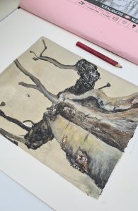 Stump #87 viewed from the bottom left, alongside its parent Cartridge pad