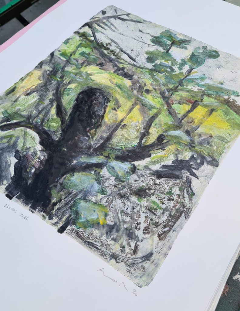 'Revival Tree', Monoprint & Ink, 36cm x 30cm